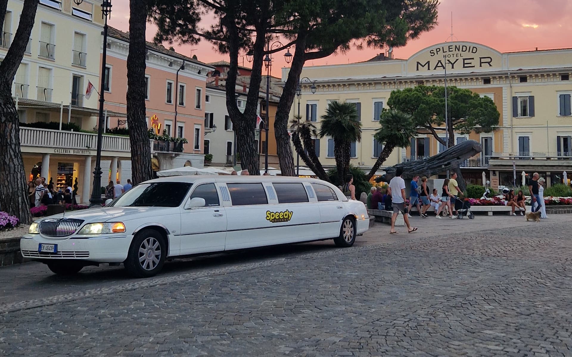 limousine-speedy_ (5)