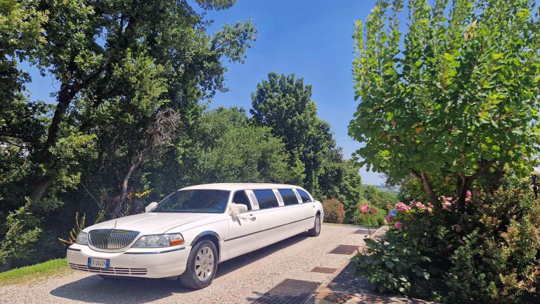 limousine per ristoranti copertina