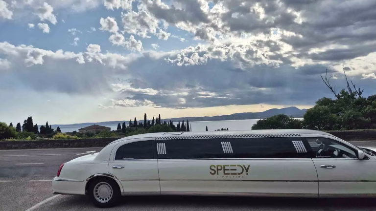limousine per diciottesimi copertina