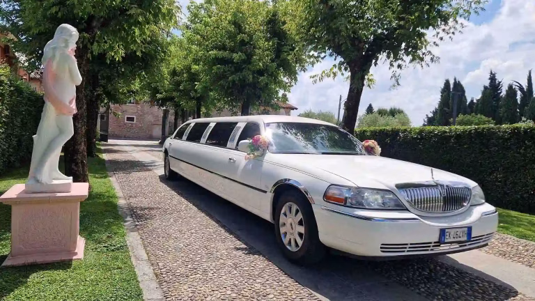 Matrimonio in Limousine copertina